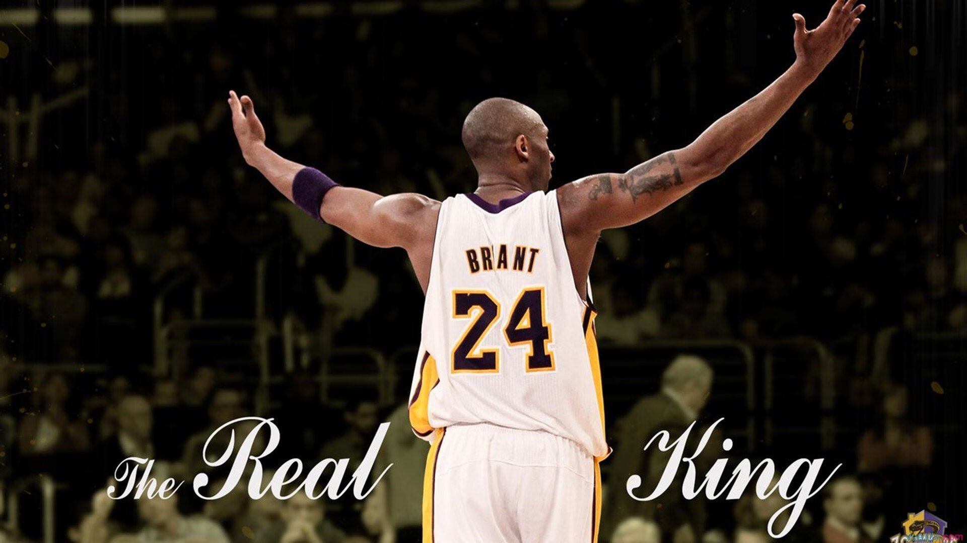 追梦之旅：那些怀揣梦想的年轻力量，年轻的追梦者忽具有的特征